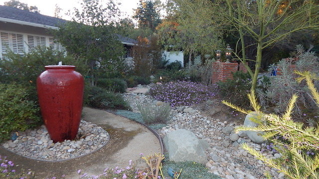 Front yard1