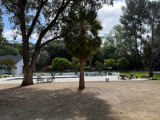 image15