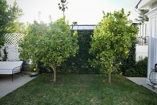 IMG 3291 copy