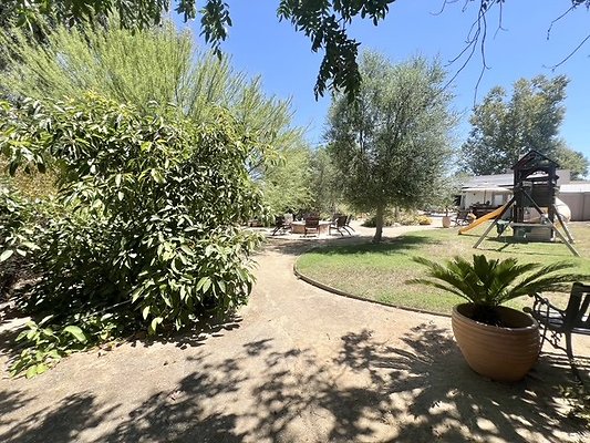 IMG 6577